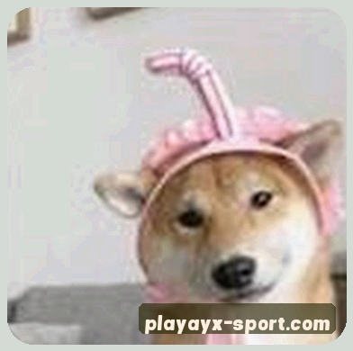 大鹏